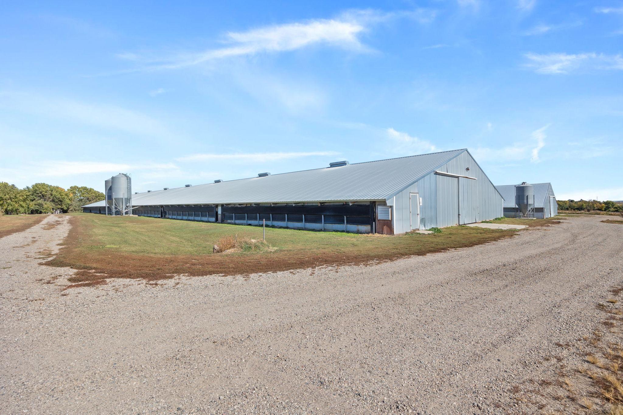 Turkey barn