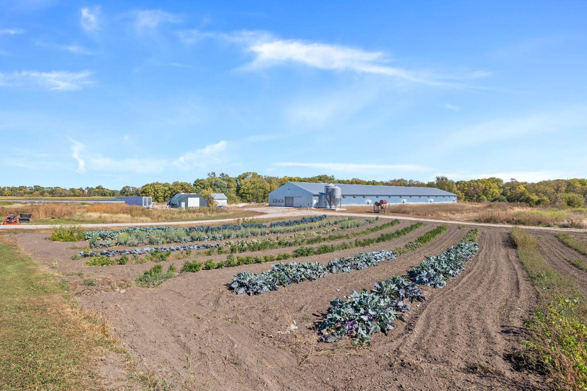 Garden areas for the produce business.