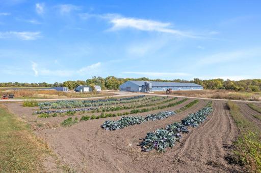 Eden Valley, MN 55329