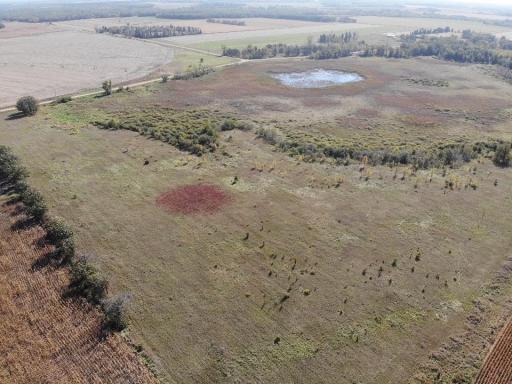 TBD 231st Avenue, Staples, MN 56479