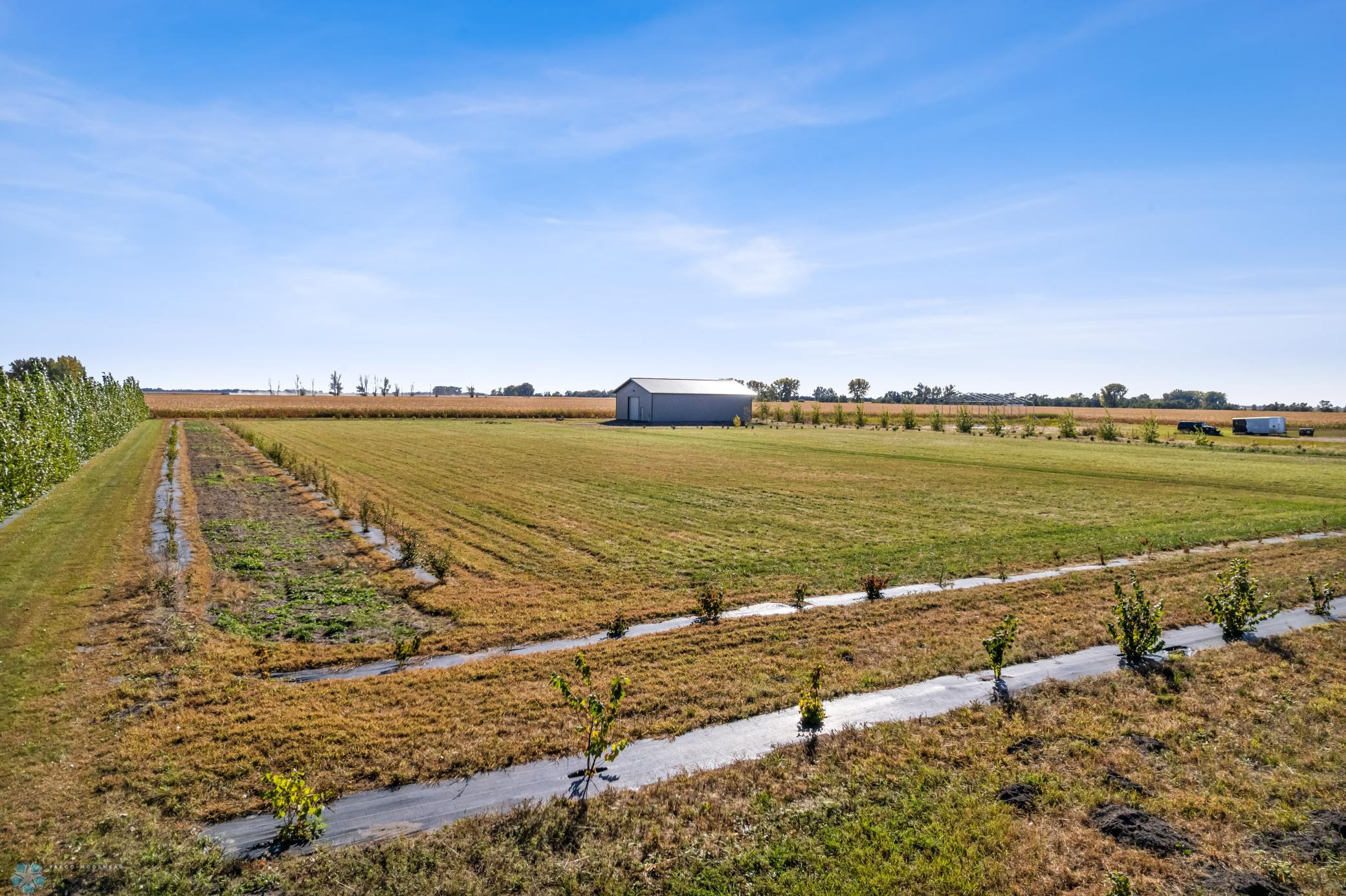 DJI_0095.jpg