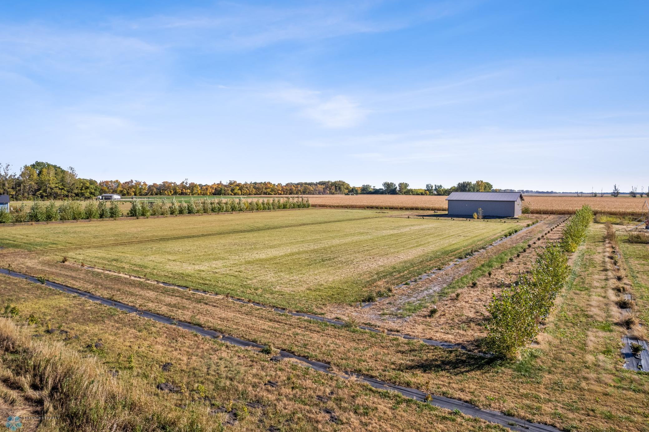 DJI_0097.jpg