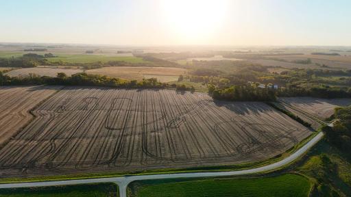 dji_fly_20241002_081330_0005_1727879360447_photo.jpg