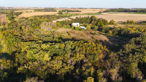 dji_fly_20241002_081728_0011_1727879359416_photo.jpg