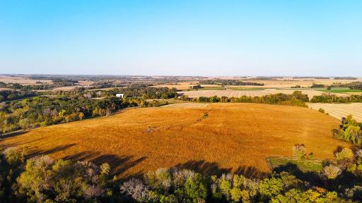 dji_fly_20241002_082030_0020_1727879290533_photo.jpg