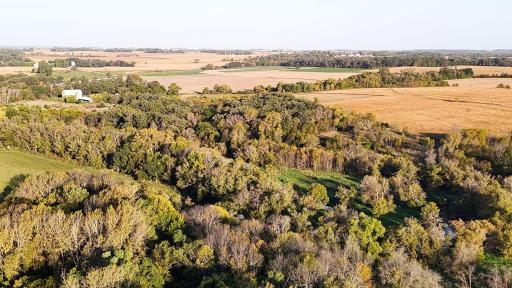 dji_fly_20241002_081848_0016_1727879327793_photo.jpg