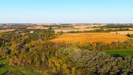 dji_fly_20241002_081950_0019_1727879290319_photo.jpg