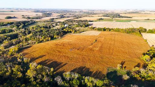 dji_fly_20241002_082050_0021_1727879290817_photo.jpg