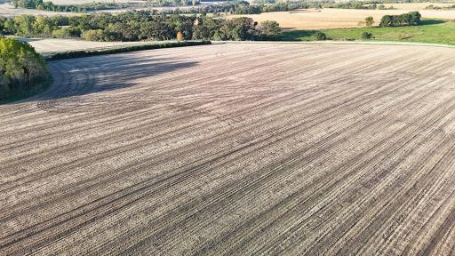 dji_fly_20241002_082306_0026_1727879289134_photo.jpg