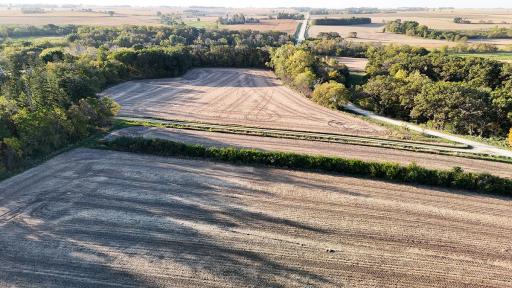 dji_fly_20241002_082326_0027_1727879289861_photo.jpg