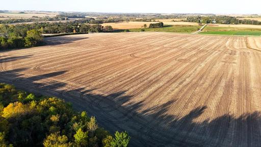 dji_fly_20241002_082238_0024_1727879288753_photo.jpg