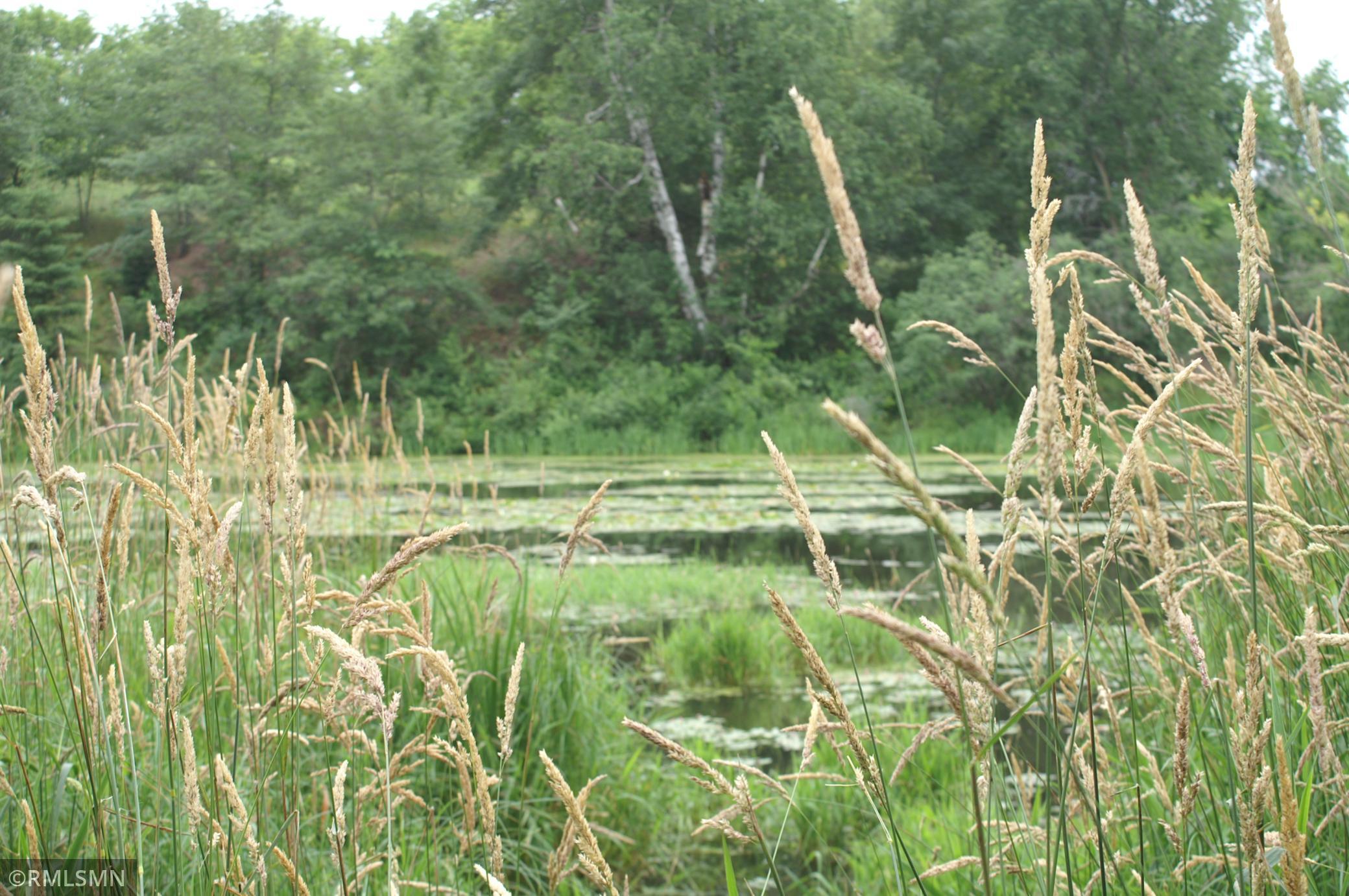 back yard to South-Paperjack Creek
