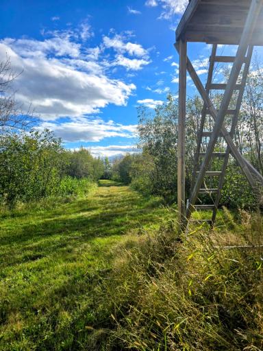 3001 State Highway 172 NW, Baudette, MN 56623