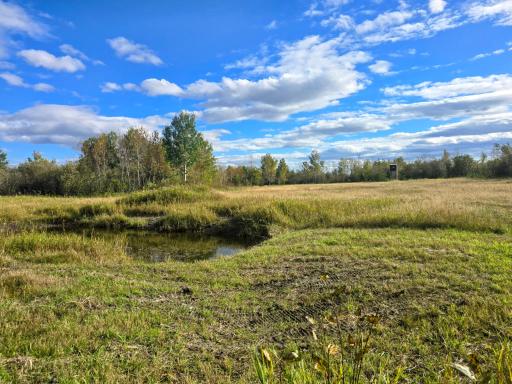 3001 State Highway 172 NW, Baudette, MN 56623