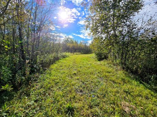 3001 State Highway 172 NW, Baudette, MN 56623