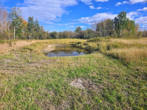 3001 State Highway 172 NW, Baudette, MN 56623