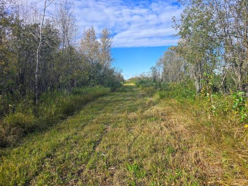 3001 State Highway 172 NW, Baudette, MN 56623