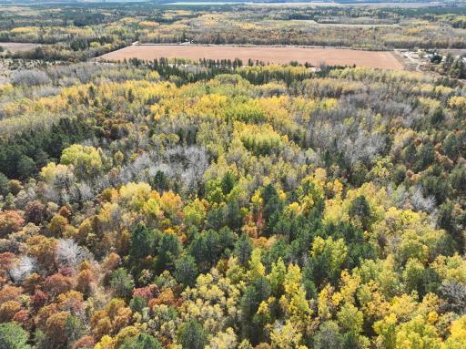 TBD 170th Street, Akeley, MN 56433