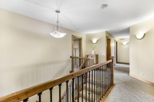 21451 Bitterbush Pass, Prior Lake, MN 55372