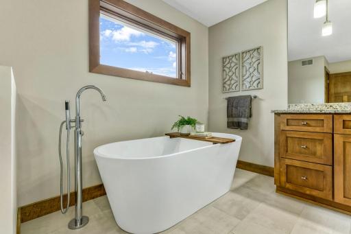 21451 Bitterbush Pass, Prior Lake, MN 55372