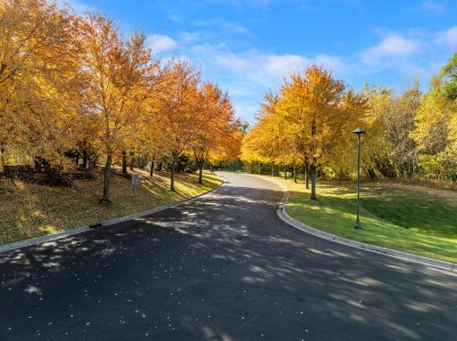 21451 Bitterbush Pass, Prior Lake, MN 55372