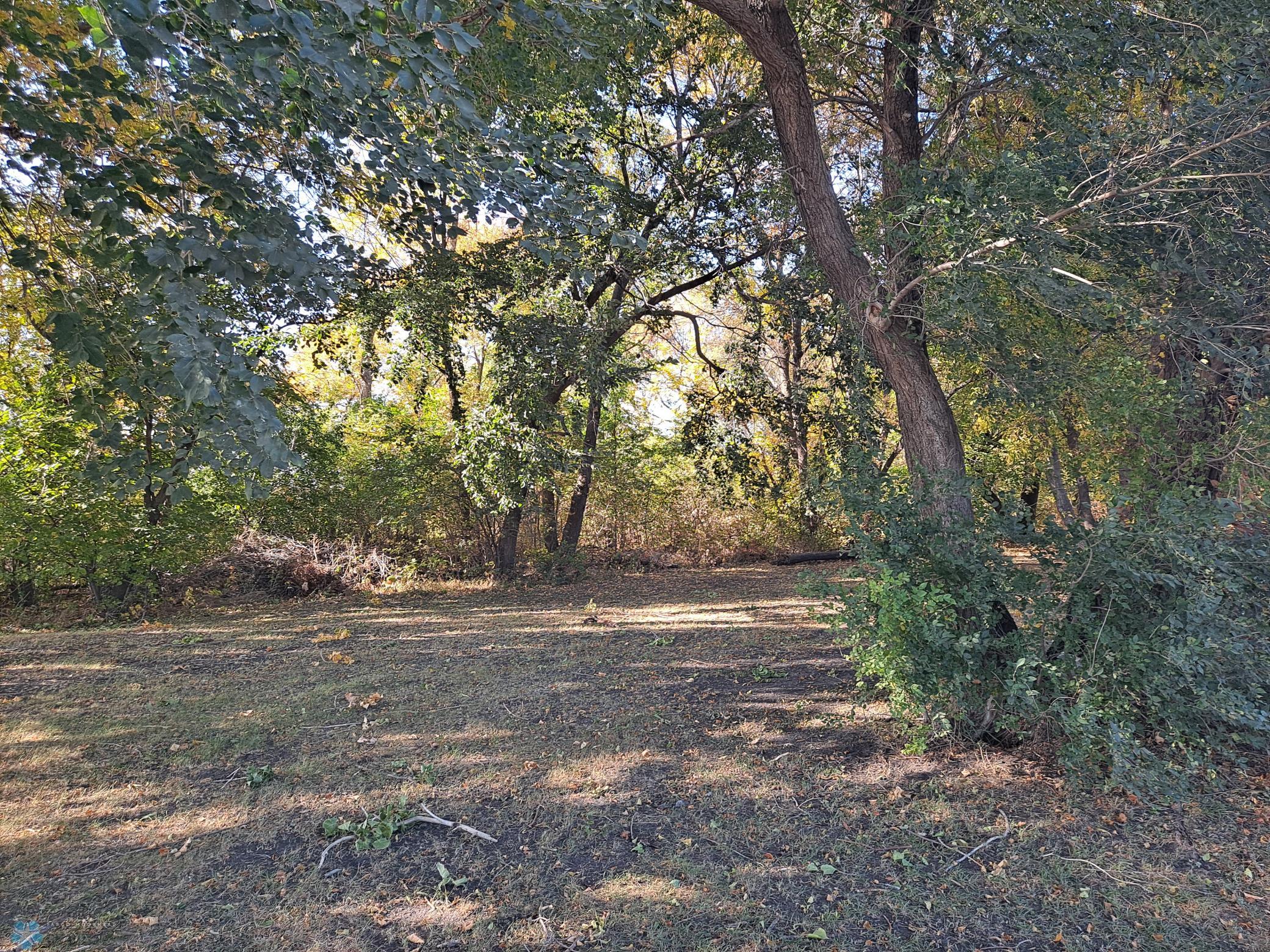 20241007_145947.jpg