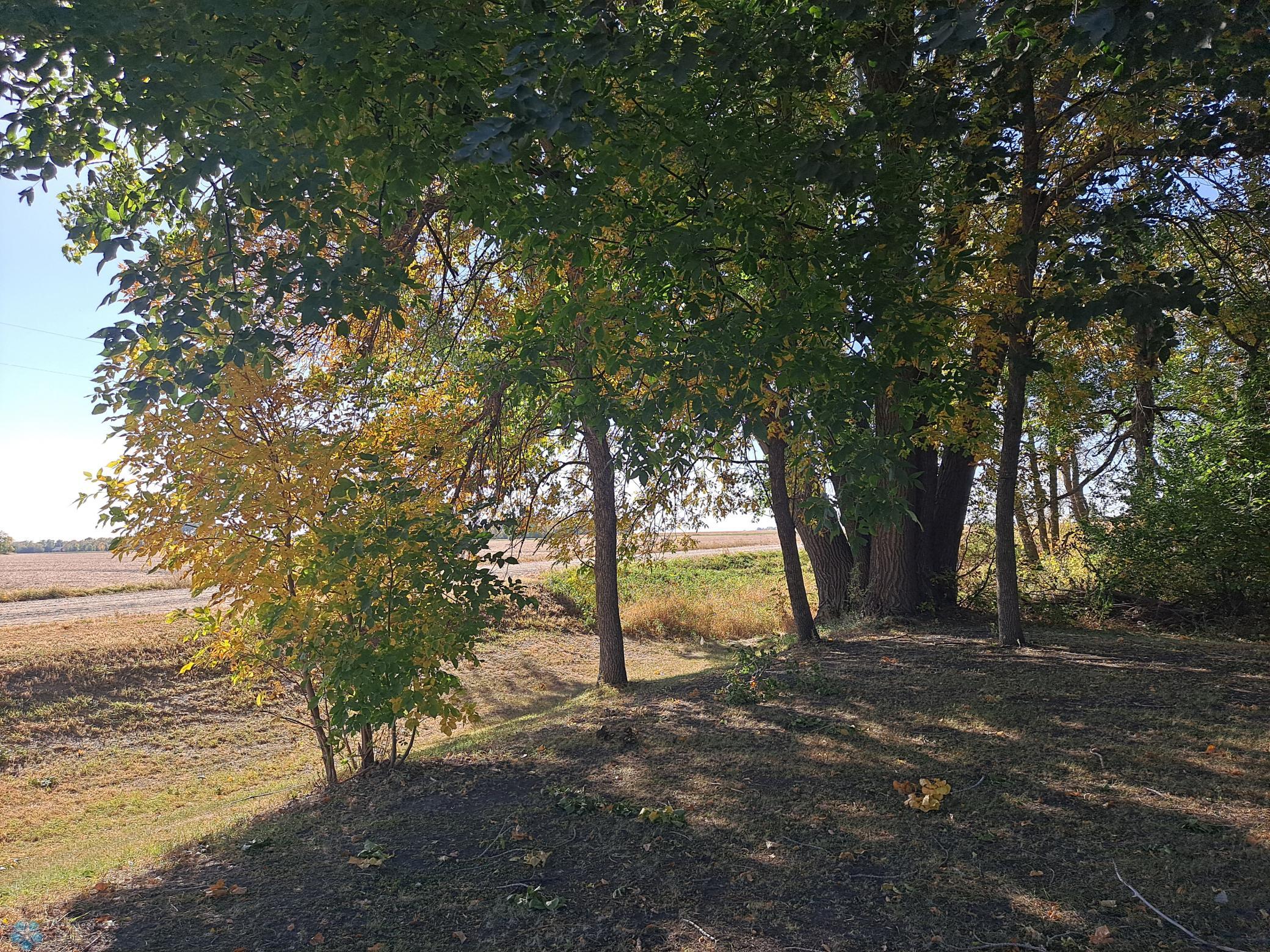 20241007_145952.jpg