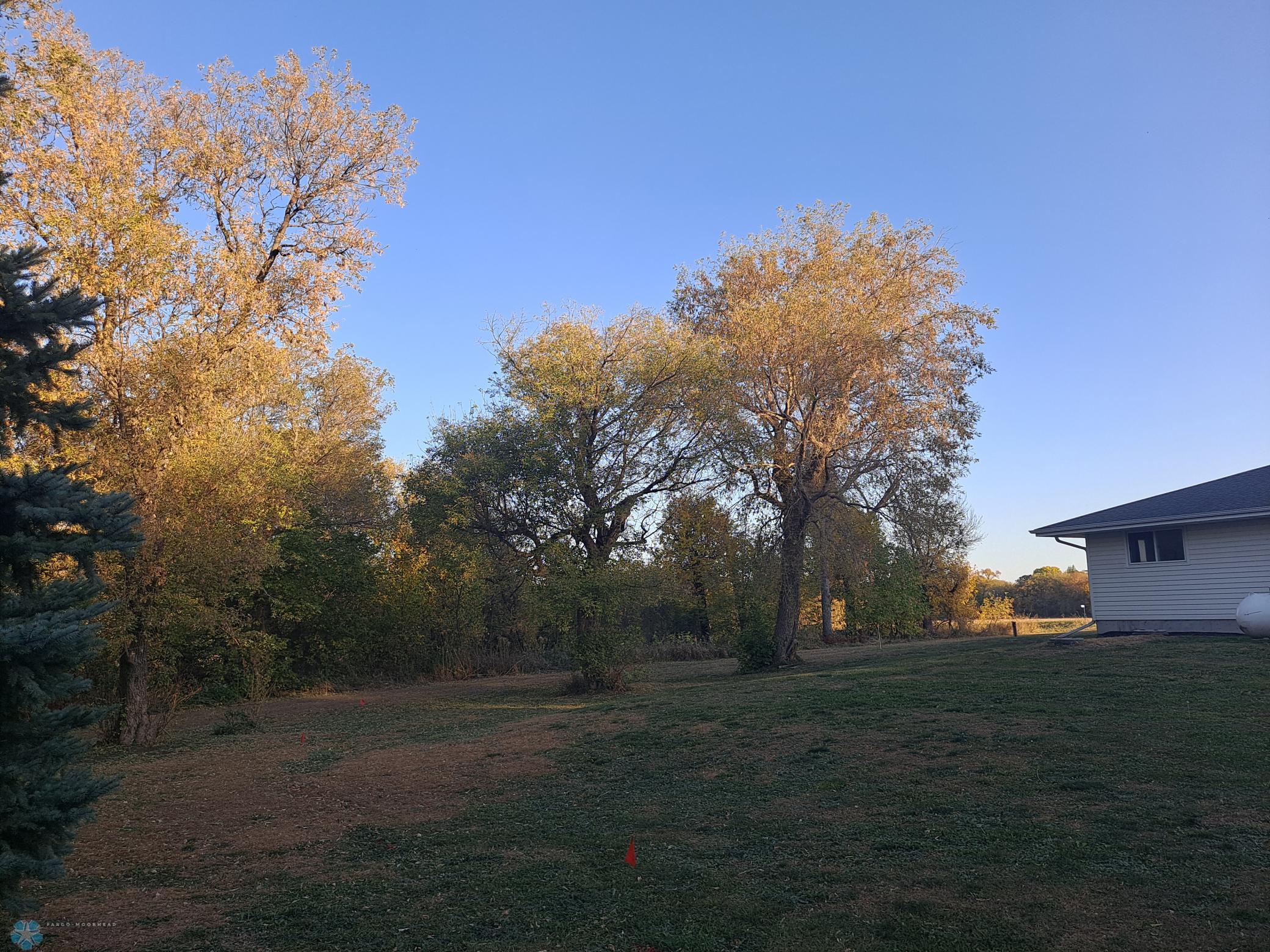 20241008_174503.jpg