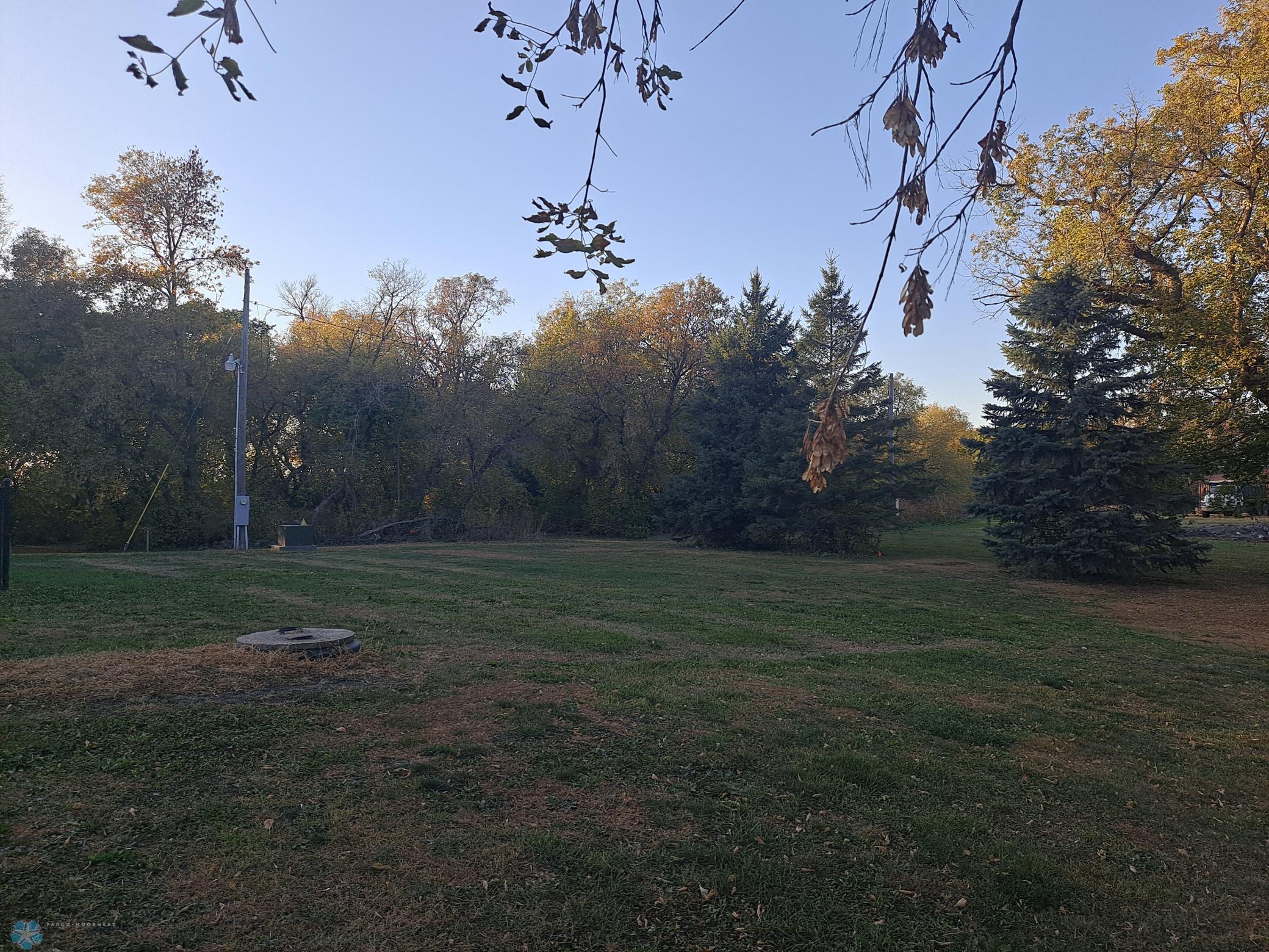 20241008_174551.jpg