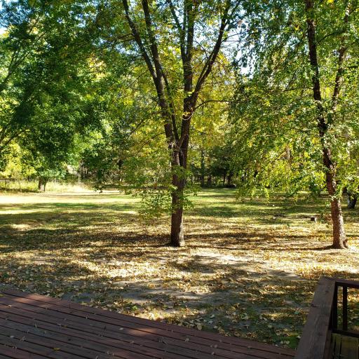 5185 SE 125th Avenue, Clear Lake, MN 55319