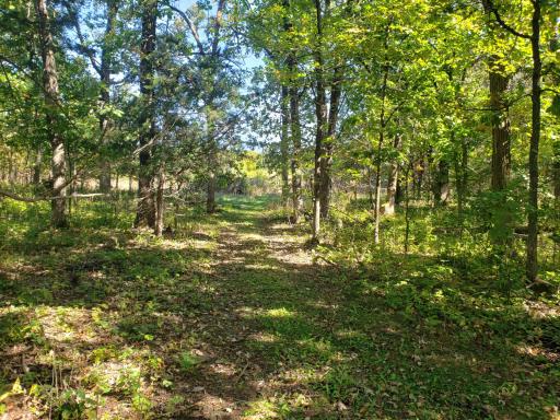 5185 SE 125th Avenue, Clear Lake, MN 55319