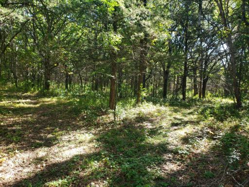 5185 SE 125th Avenue, Clear Lake, MN 55319