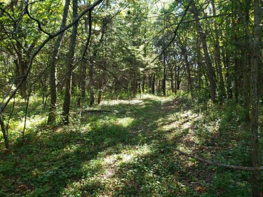 5185 SE 125th Avenue, Clear Lake, MN 55319