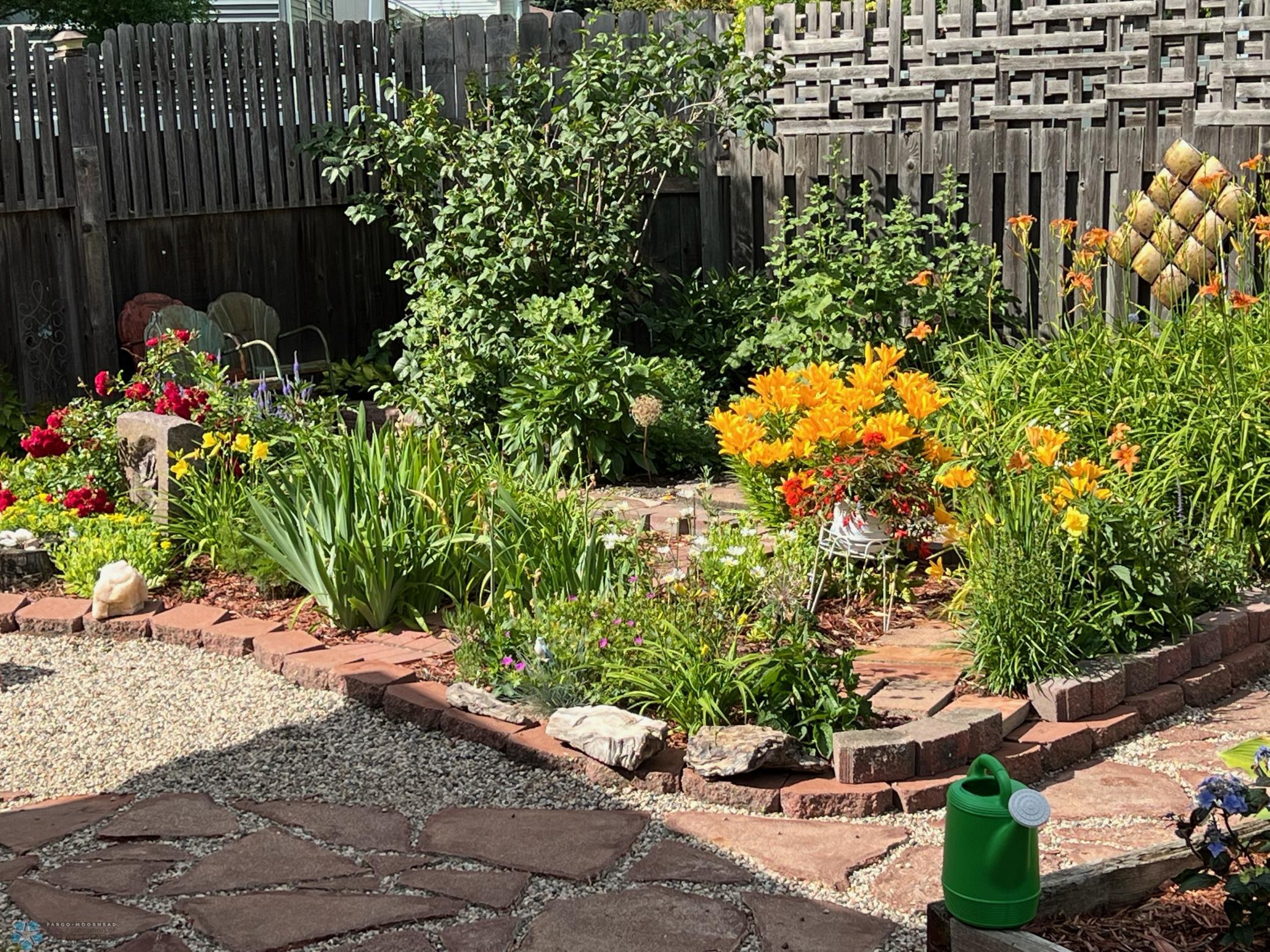 In full bloom