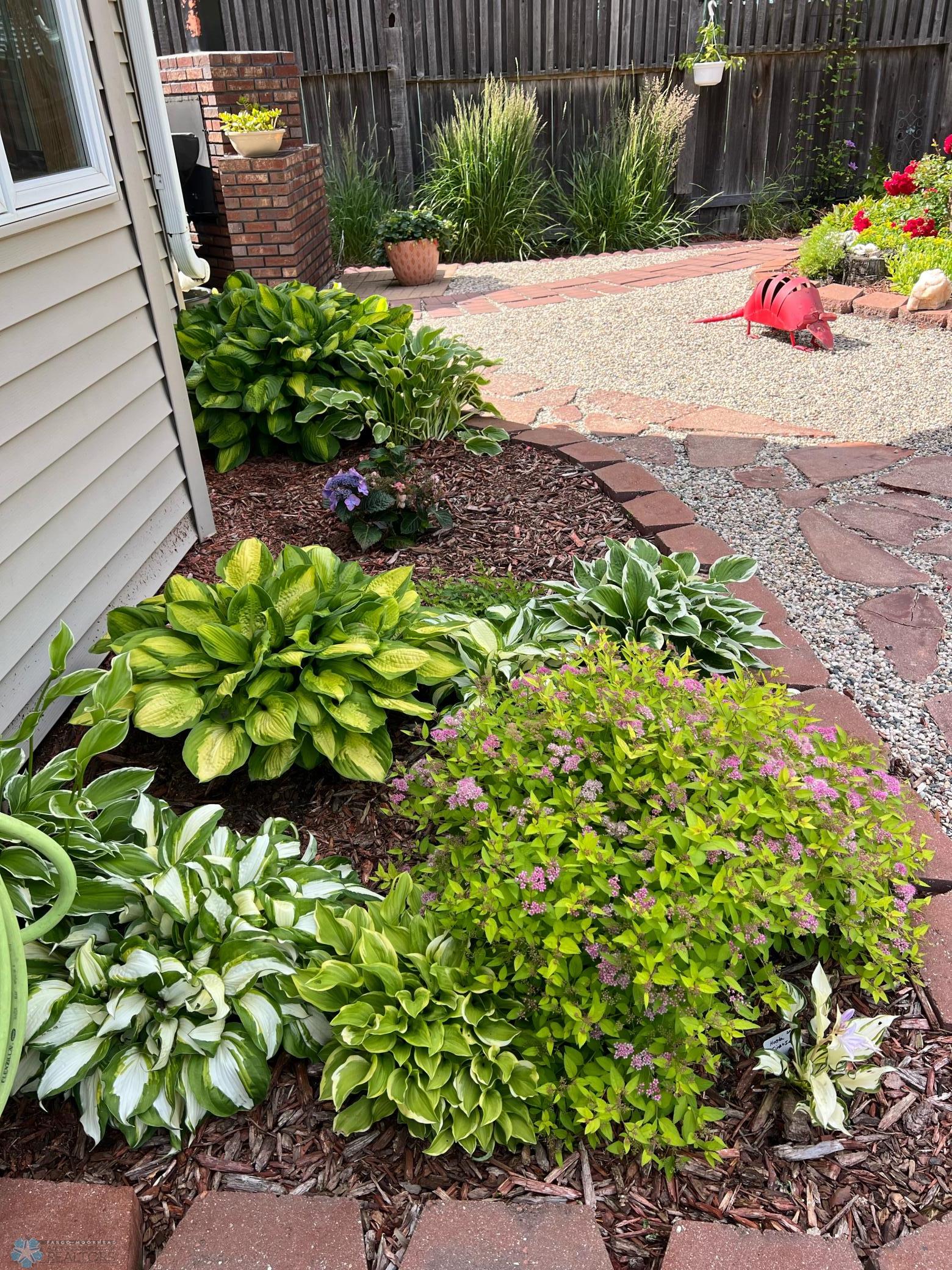 Perennials in full bloom