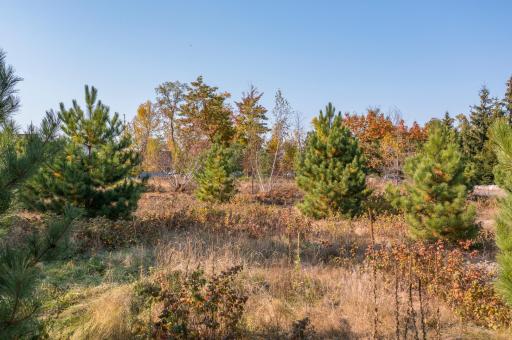 10875 Mallard Lane, Brainerd, MN 56401