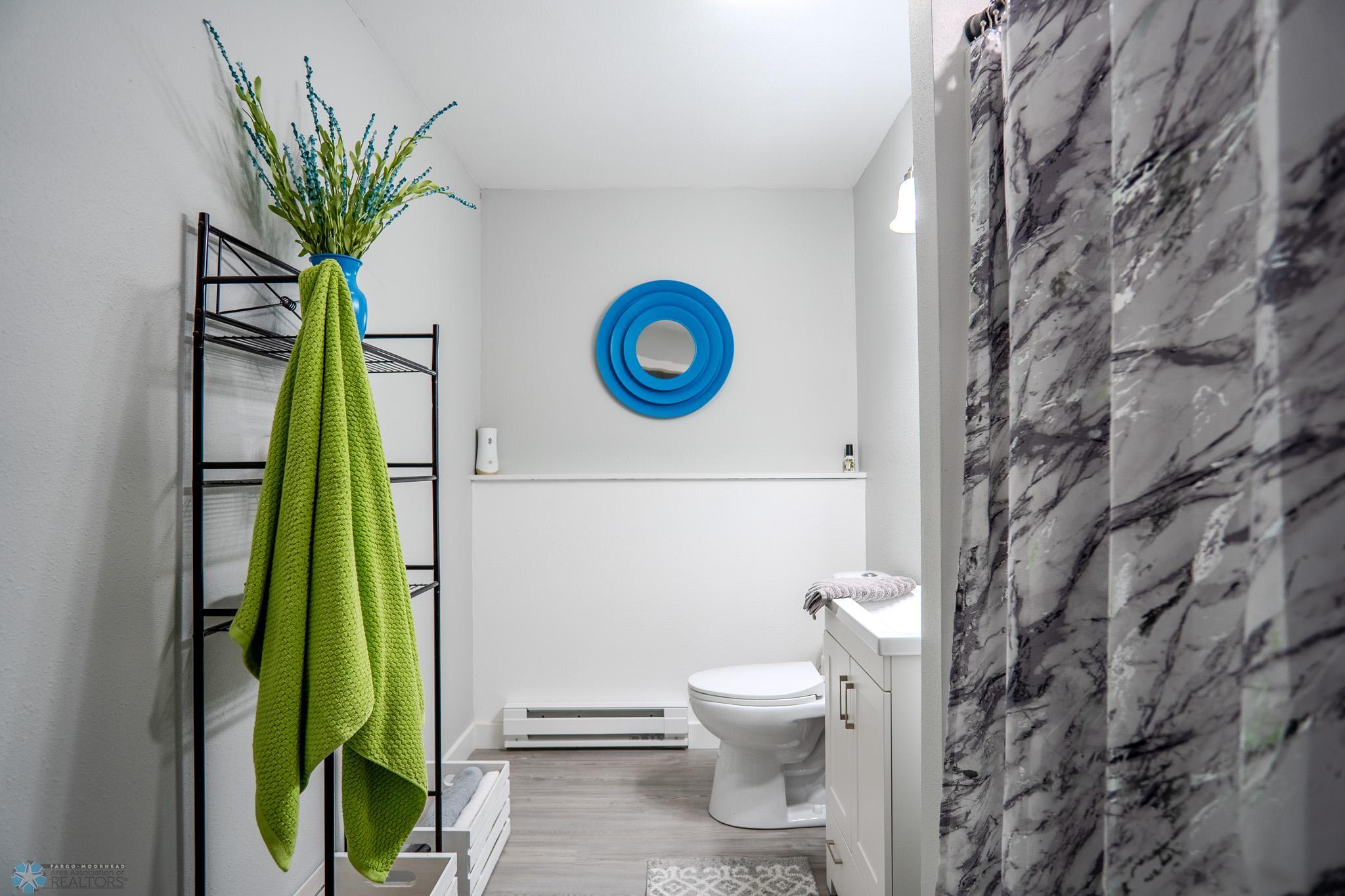 Lower Level Bathroom