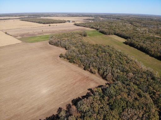 TBD 130th Street, Staples, MN 56479