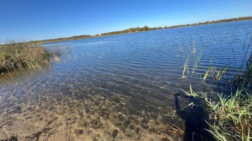 Approx. 2000' of shoreline on Beaver Lake. DNR ID #73002300.