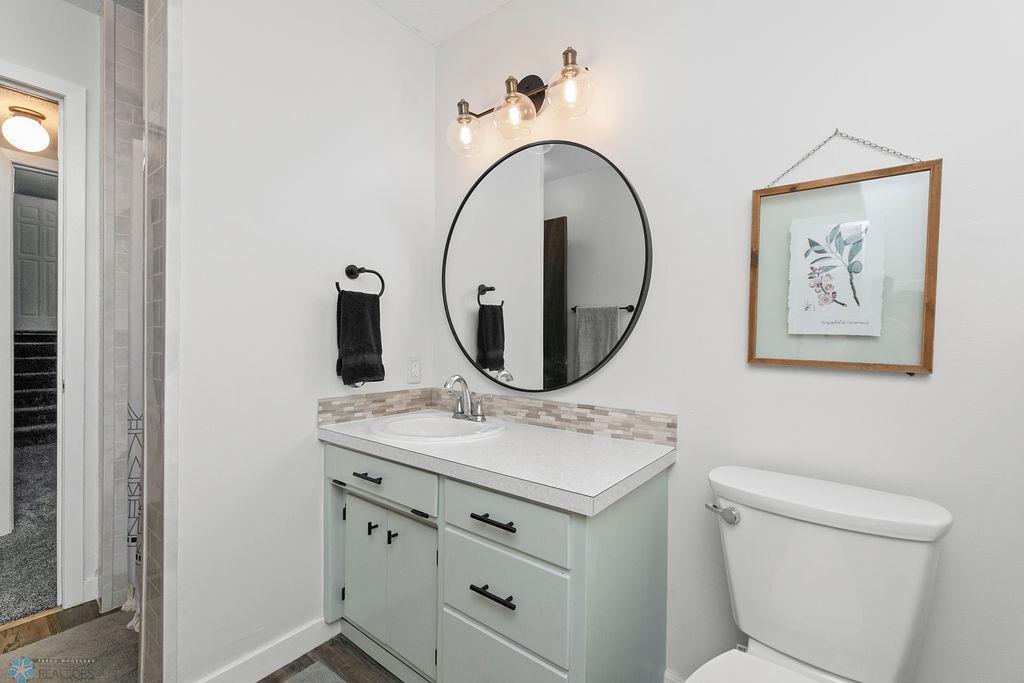 Lower Level Bathroom