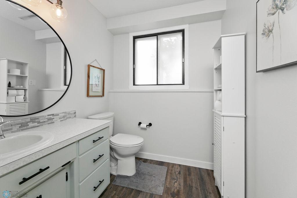 Lower Level Bathroom