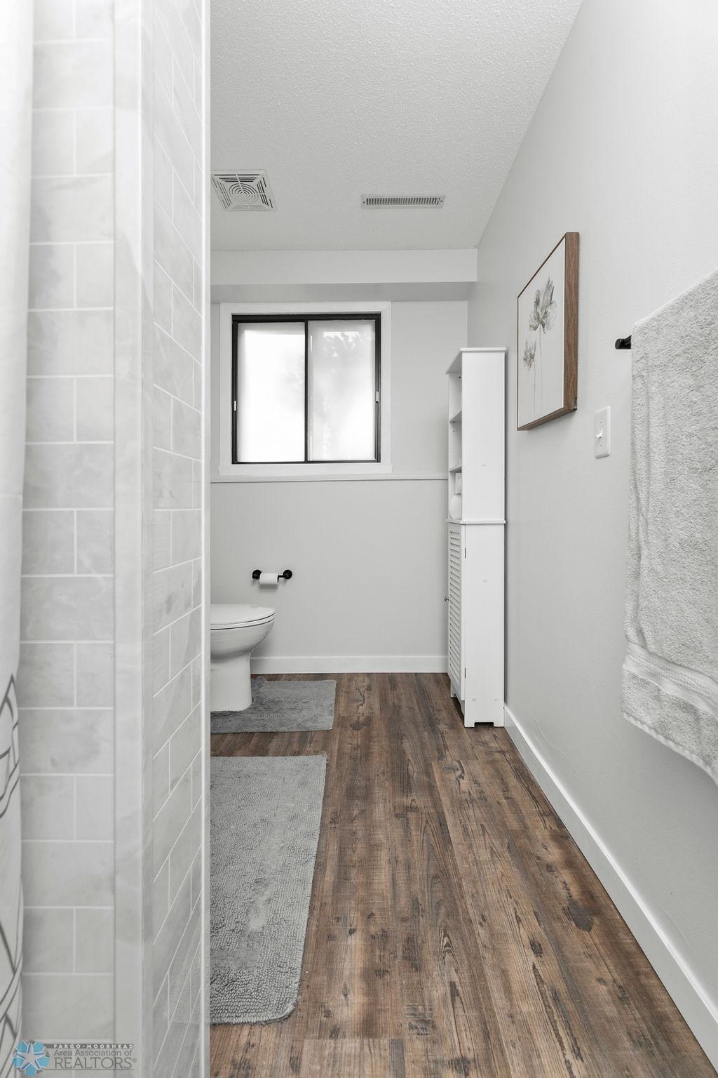 Lower Level Bathroom