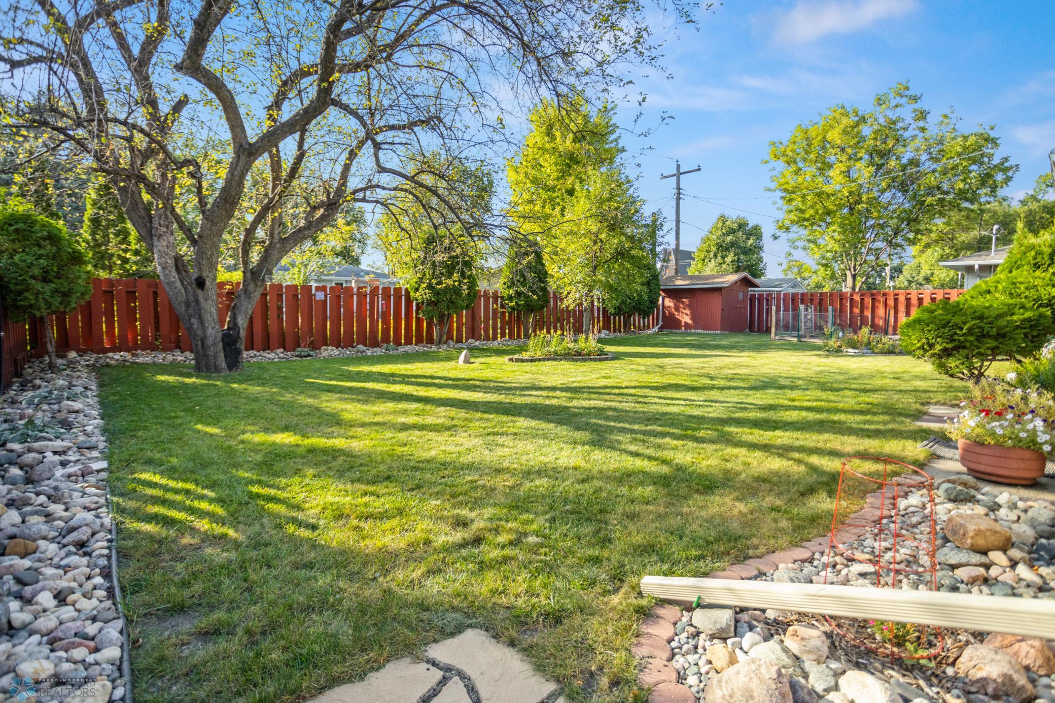 Back yard