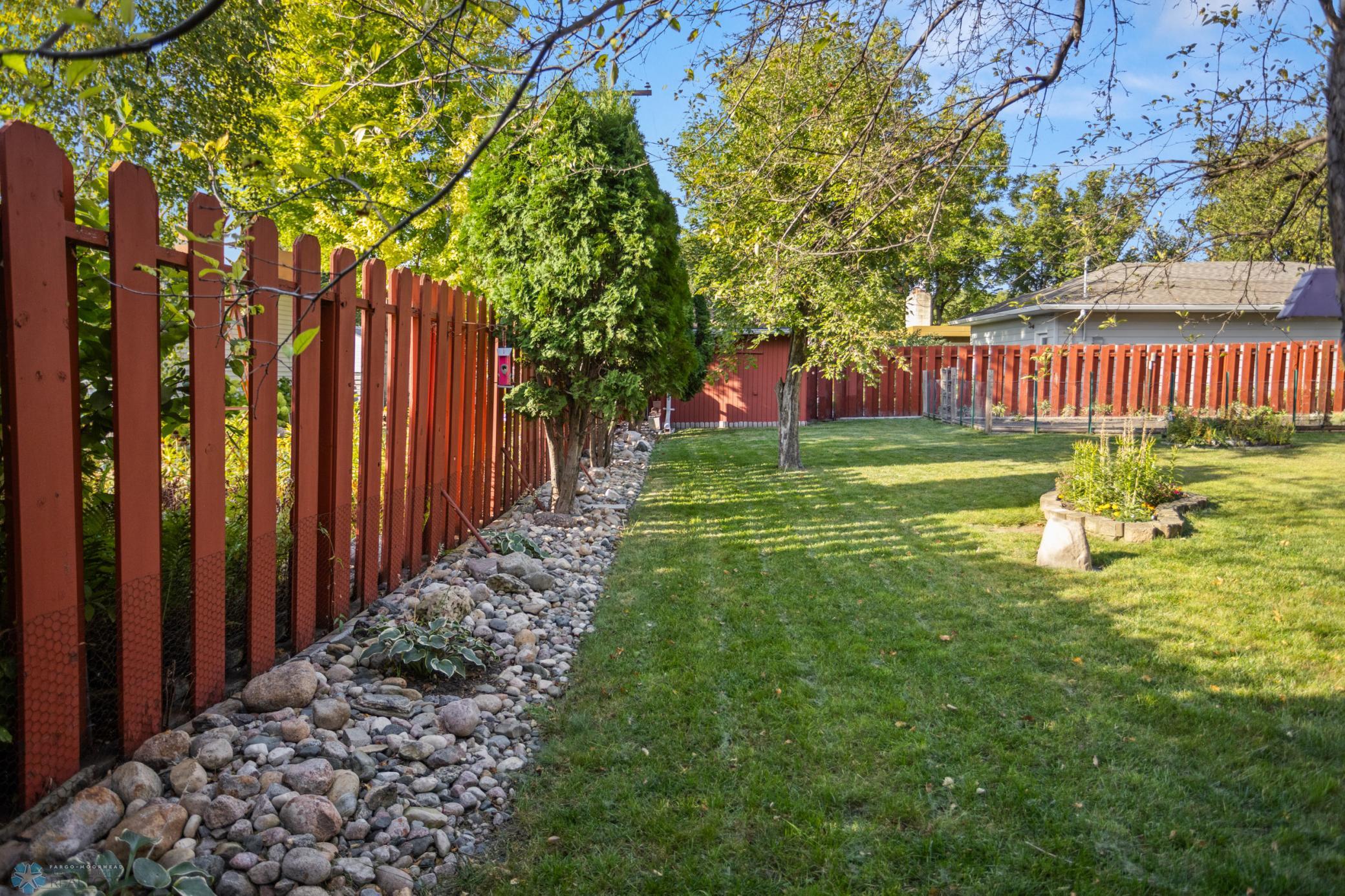 Back yard