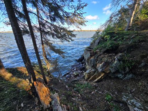Photo for Tract 8 Brush Island, Angle Inlet, MN 56711 - Listing #6615933 Tract 8 Brush Island, Angle Inlet, MN 56711