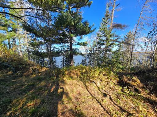Photo for Tract 8 Brush Island, Angle Inlet, MN 56711 - Listing #6615933 Tract 8 Brush Island, Angle Inlet, MN 56711
