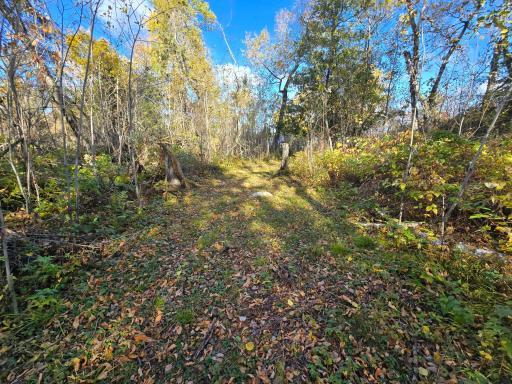 Photo for Tract 8 Brush Island, Angle Inlet, MN 56711 - Listing #6615933 Tract 8 Brush Island, Angle Inlet, MN 56711