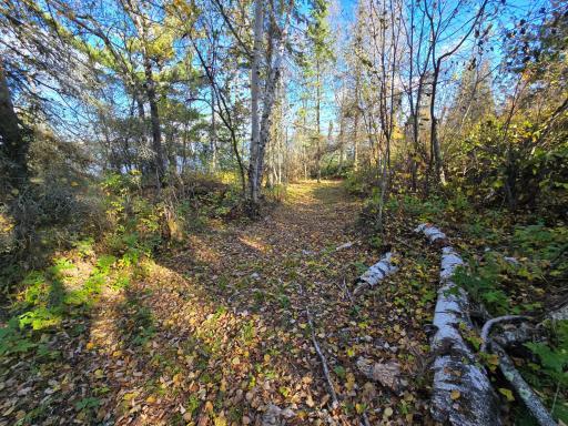 Photo for Tract 8 Brush Island, Angle Inlet, MN 56711 - Listing #6615933 Tract 8 Brush Island, Angle Inlet, MN 56711