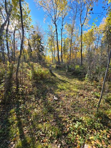 Photo for Tract 8 Brush Island, Angle Inlet, MN 56711 - Listing #6615933 Tract 8 Brush Island, Angle Inlet, MN 56711