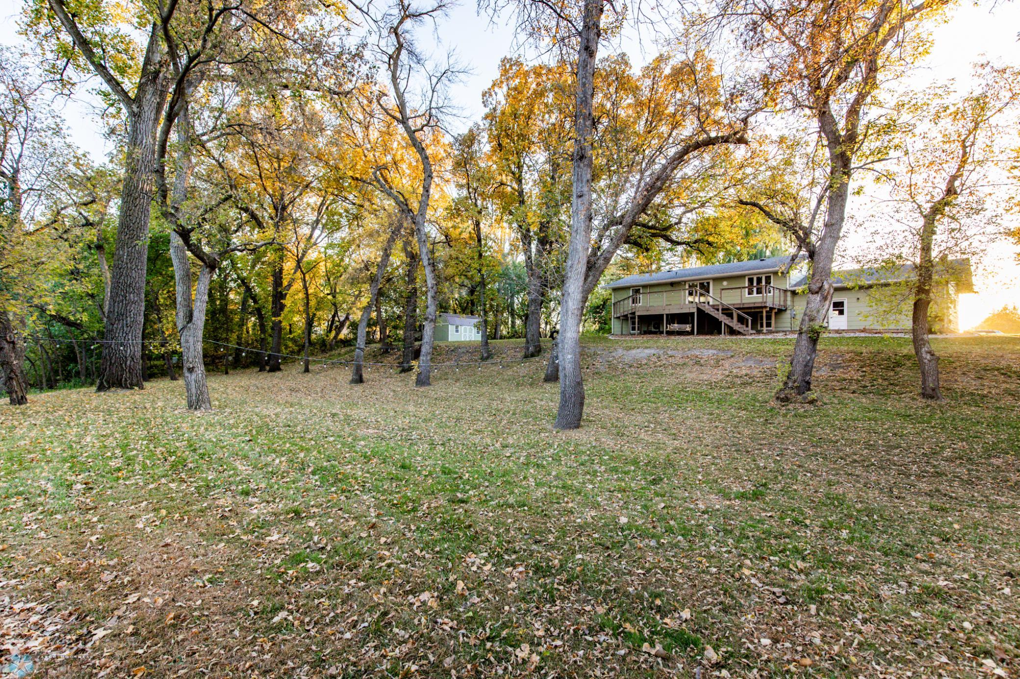 Yard